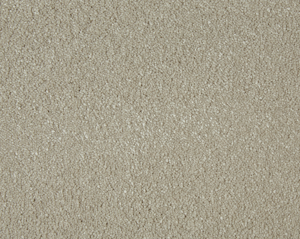 Sensation Carpet