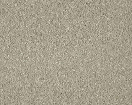 Sensation Carpet