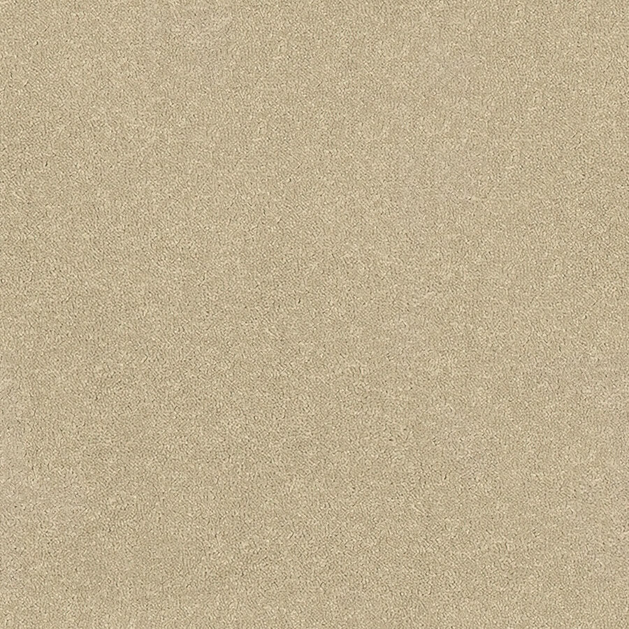 Stainfree Ultra Carpet
