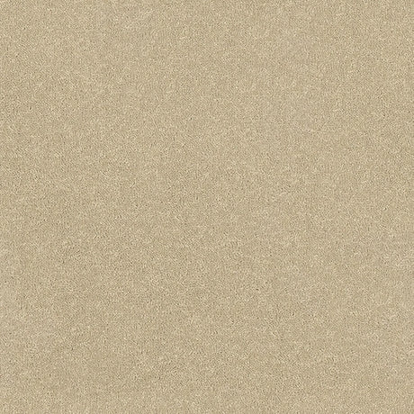 Stainfree Ultra Carpet