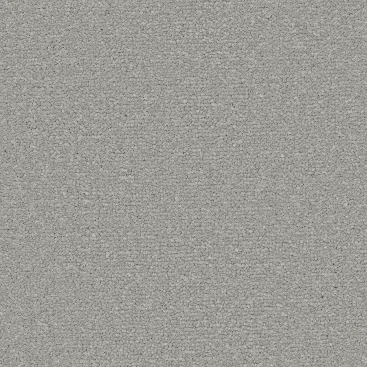 Apollo Plus Carpet