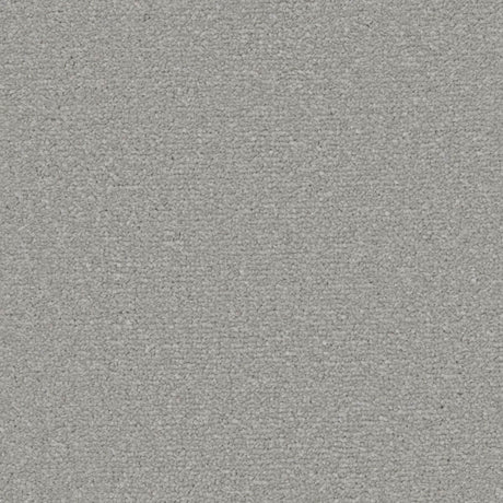 Apollo Plus Carpet