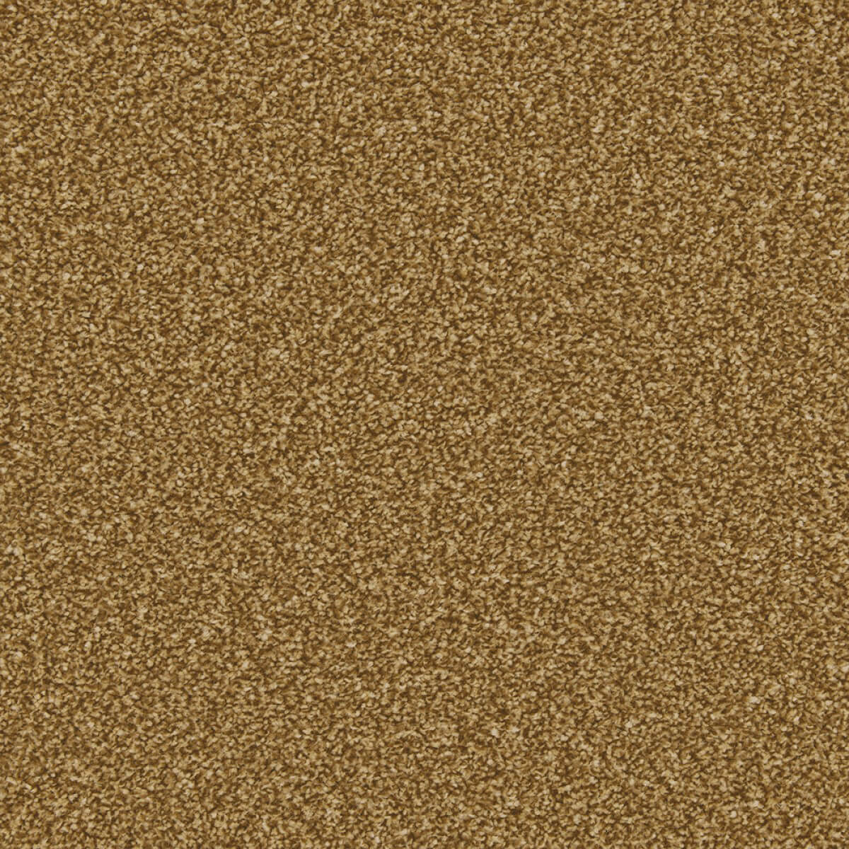 Apollo Plus Carpet