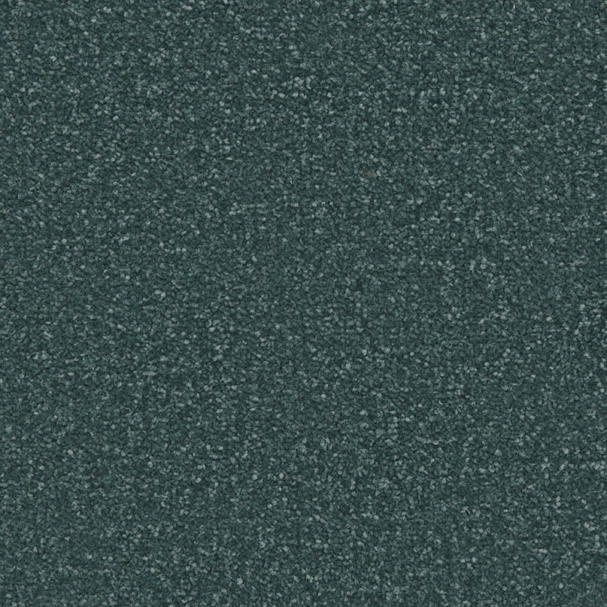 Apollo Plus Carpet