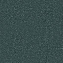 Apollo Plus Carpet