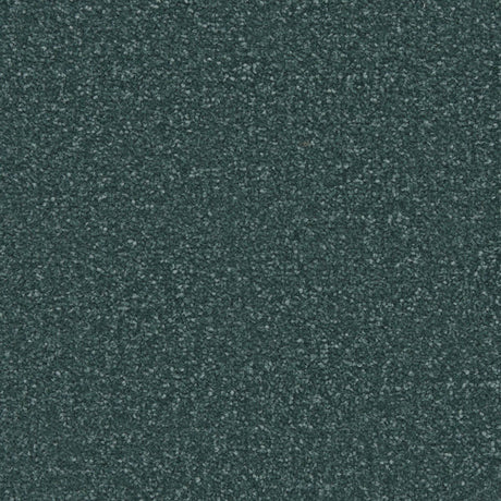 Apollo Plus Carpet
