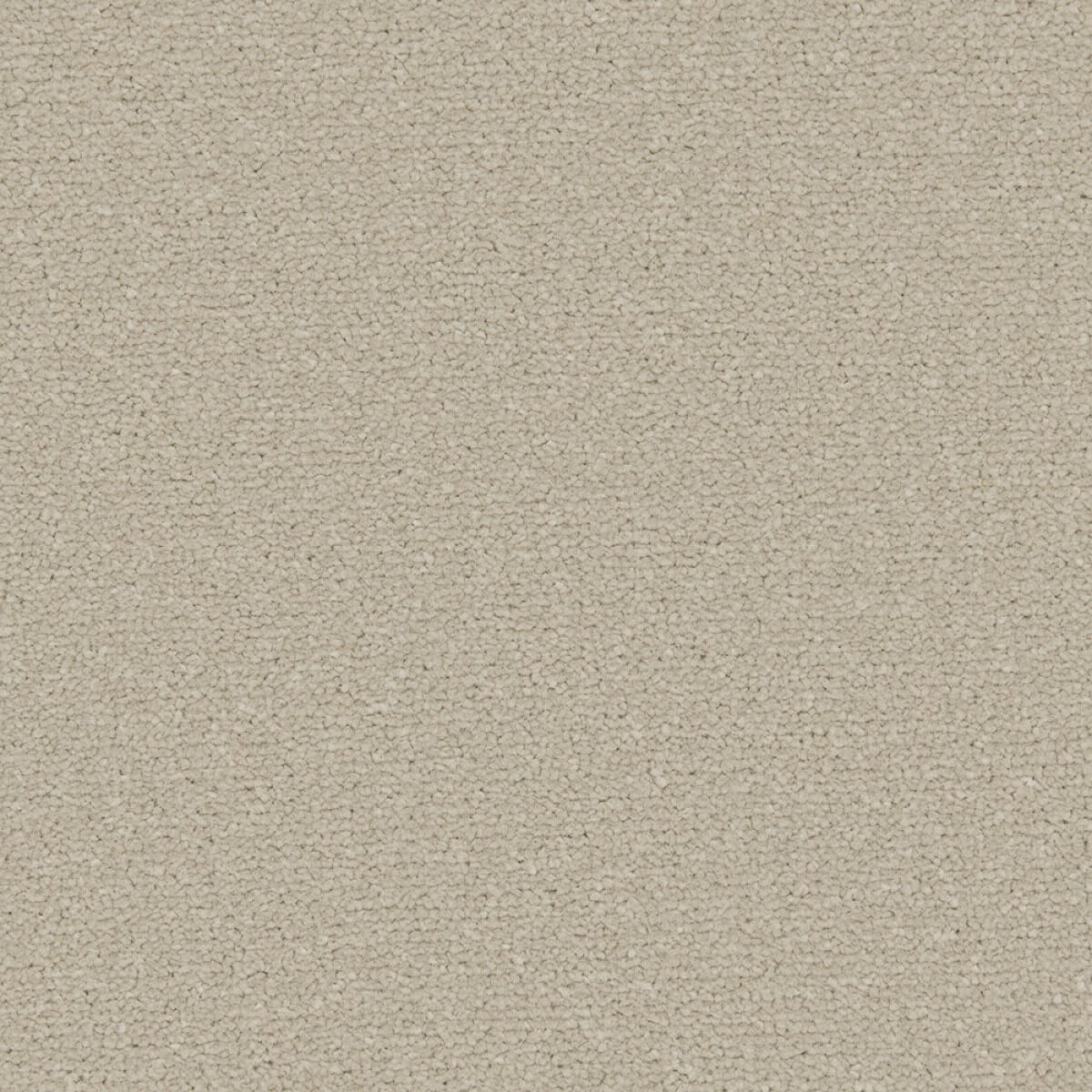 Apollo Plus Carpet