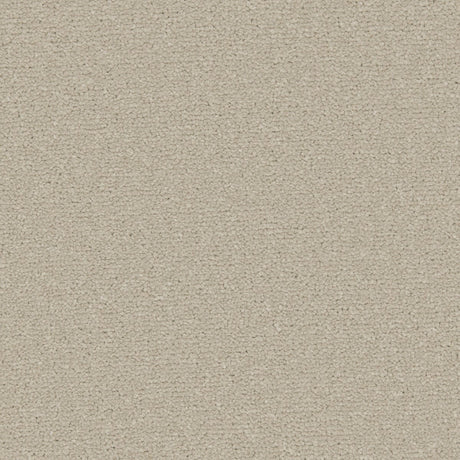 Apollo Plus Carpet