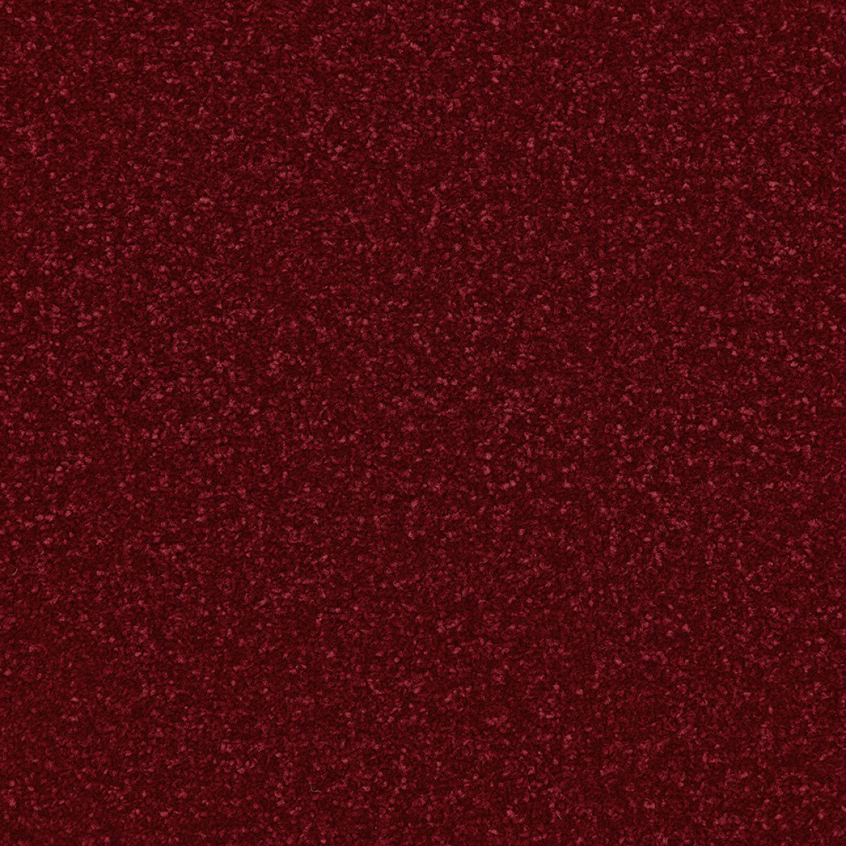 Apollo Plus Carpet