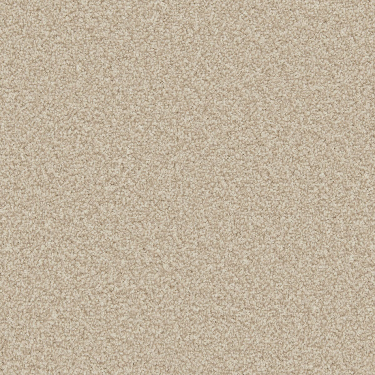 Apollo Plus Carpet