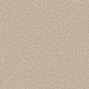 Apollo Plus Carpet