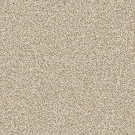Apollo Plus Carpet