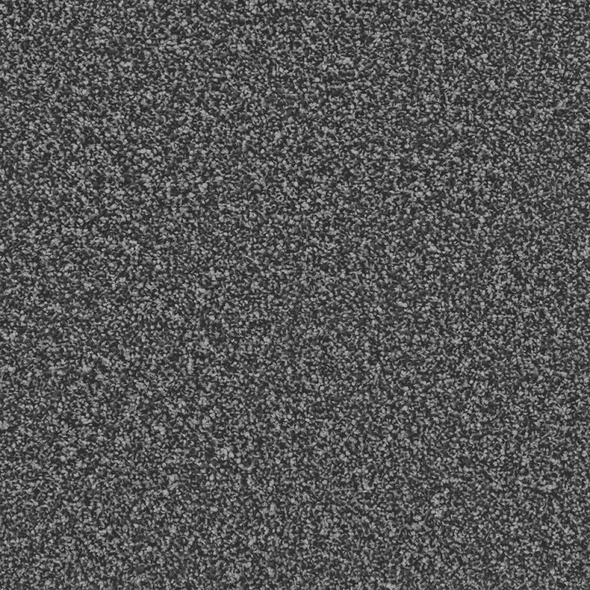 Apollo Plus Carpet