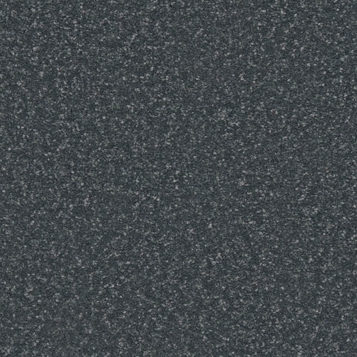 Apollo Plus Carpet