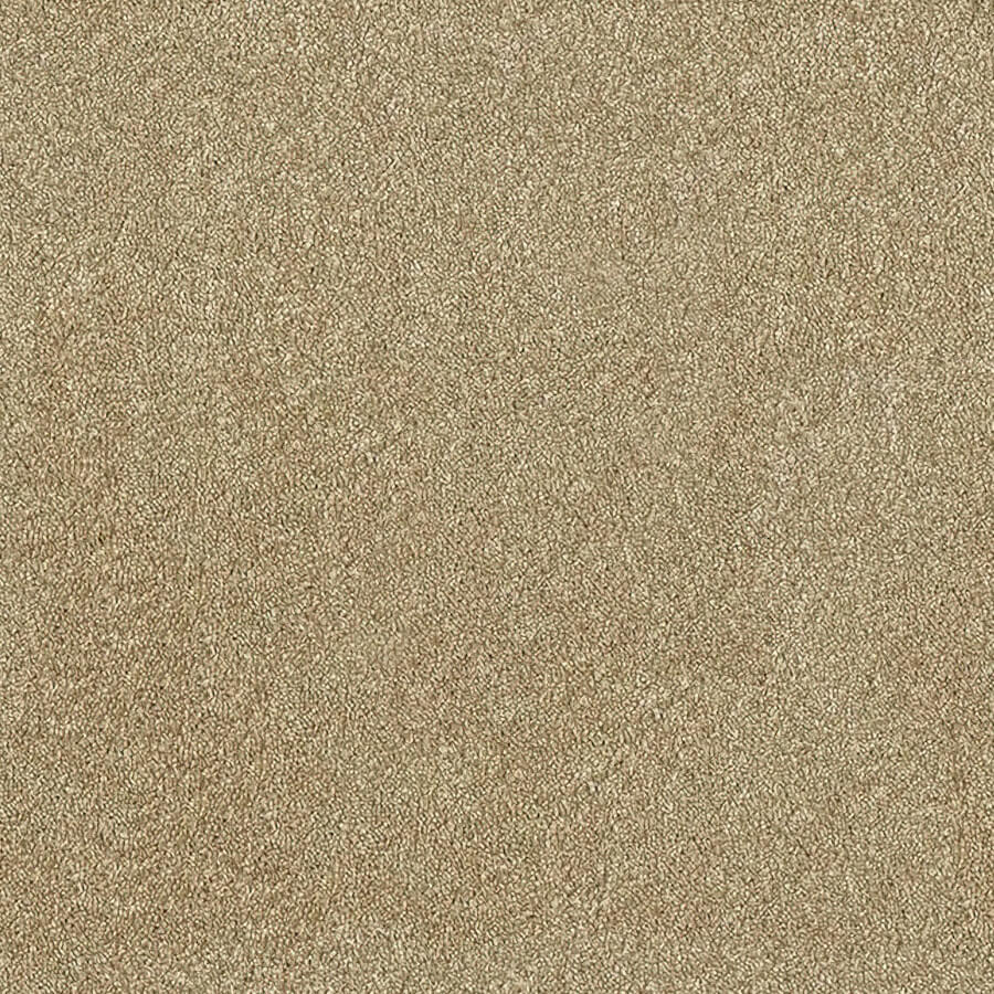 Aristocat Twist Carpet