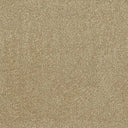 Aristocat Twist Carpet