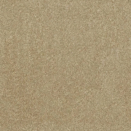 Aristocat Twist Carpet