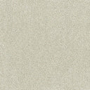 Aristocat Twist Carpet
