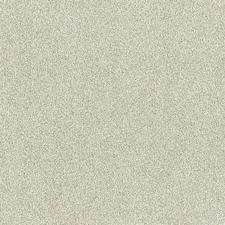 Aristocat Twist Carpet