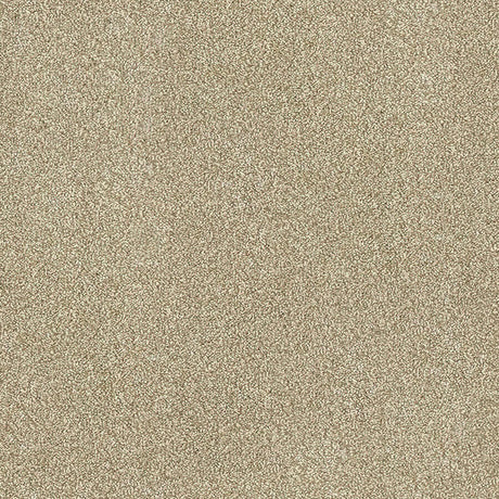 Aristocat Twist Carpet