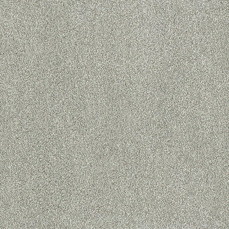 Aristocat Twist Carpet