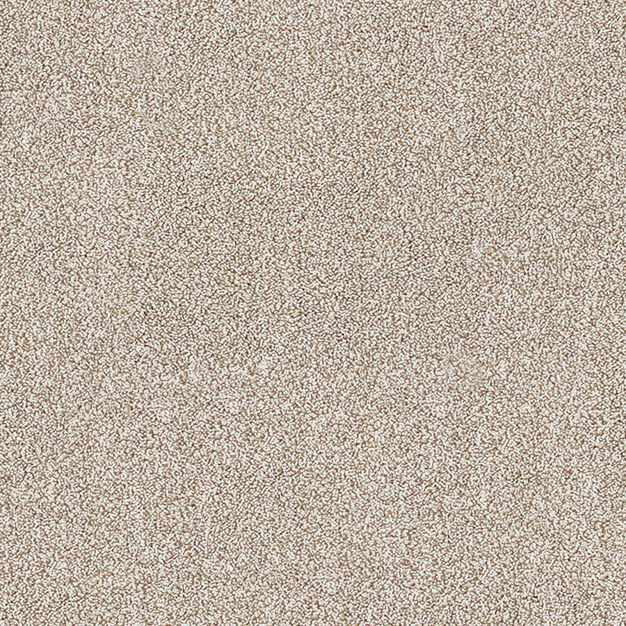 Aristocat Twist Carpet