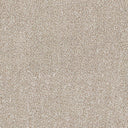Aristocat Twist Carpet