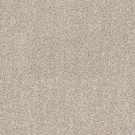 Aristocat Twist Carpet