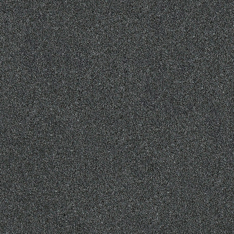 Aristocat Twist Carpet