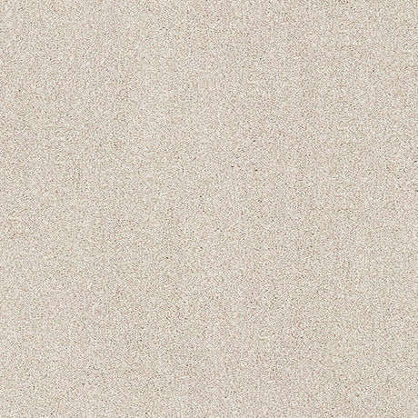 Aristocat Twist Carpet