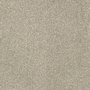 Aristocat Twist Carpet