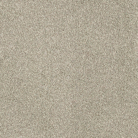 Aristocat Twist Carpet