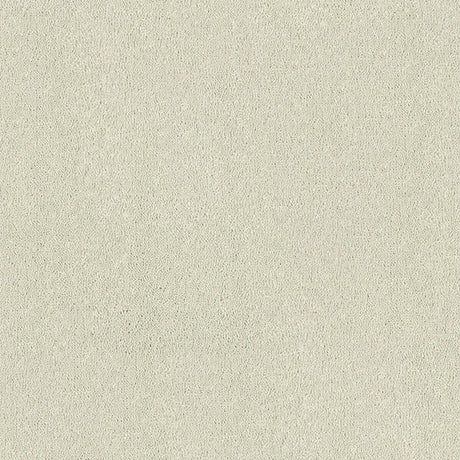 Aristocat Twist Carpet