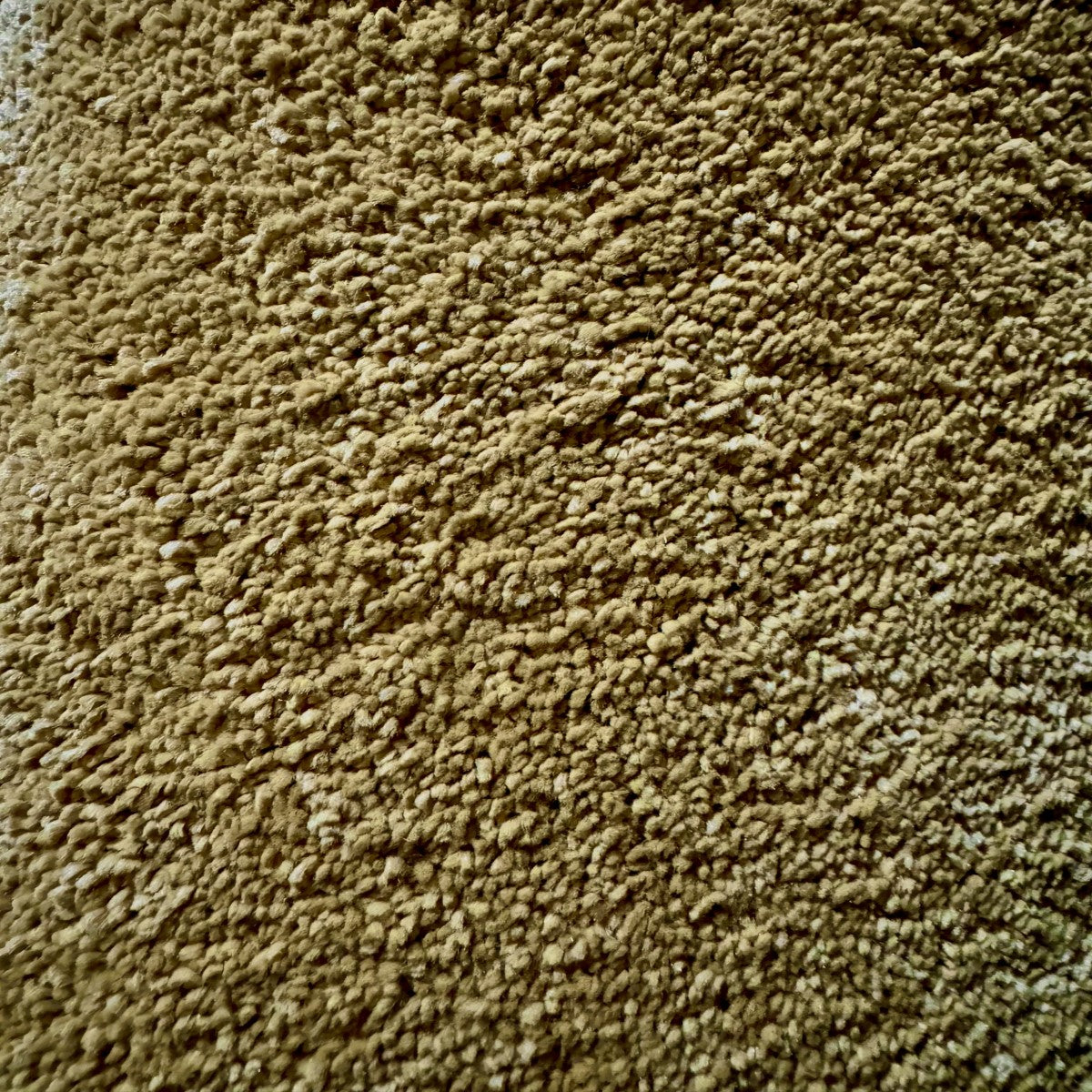 Asco 1813 (2.65m x 4.00m) M012598