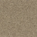 Balmoral Carpet