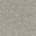 Balmoral Carpet