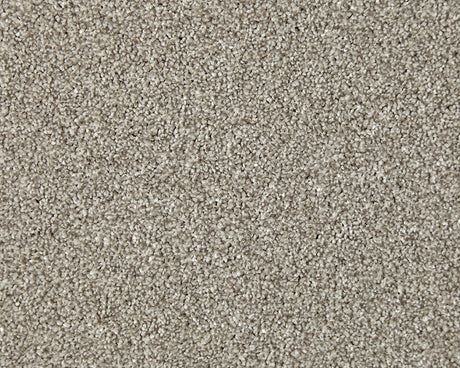 Primo Naturals Carpet