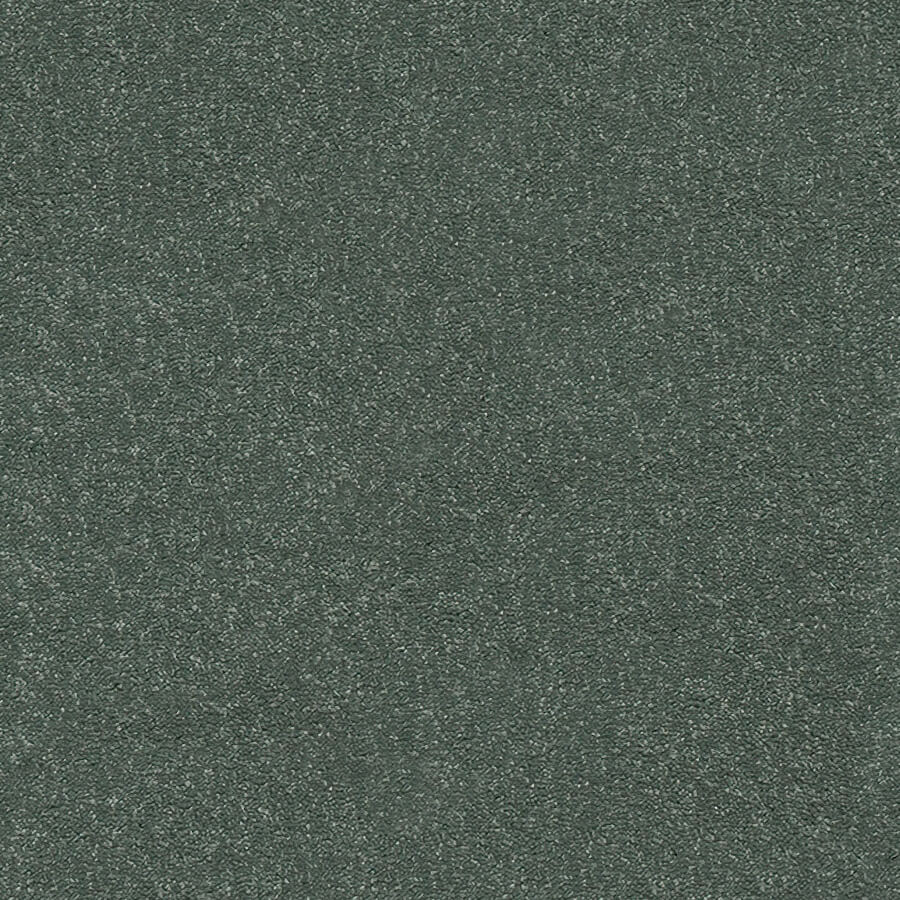 Stainfree Twist Carpet