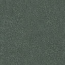 Stainfree Twist Carpet