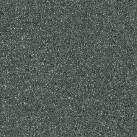 Stainfree Twist Carpet