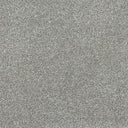 Stainfree Twist Carpet