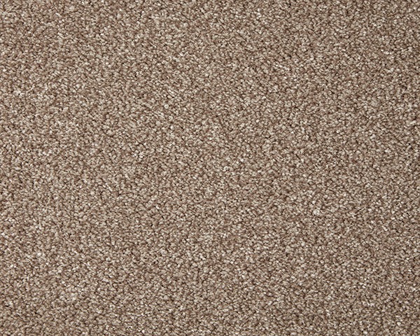Primo Grande Carpet