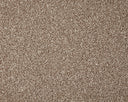 Primo Grande Carpet