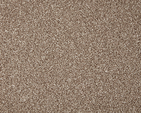 Primo Grande Carpet
