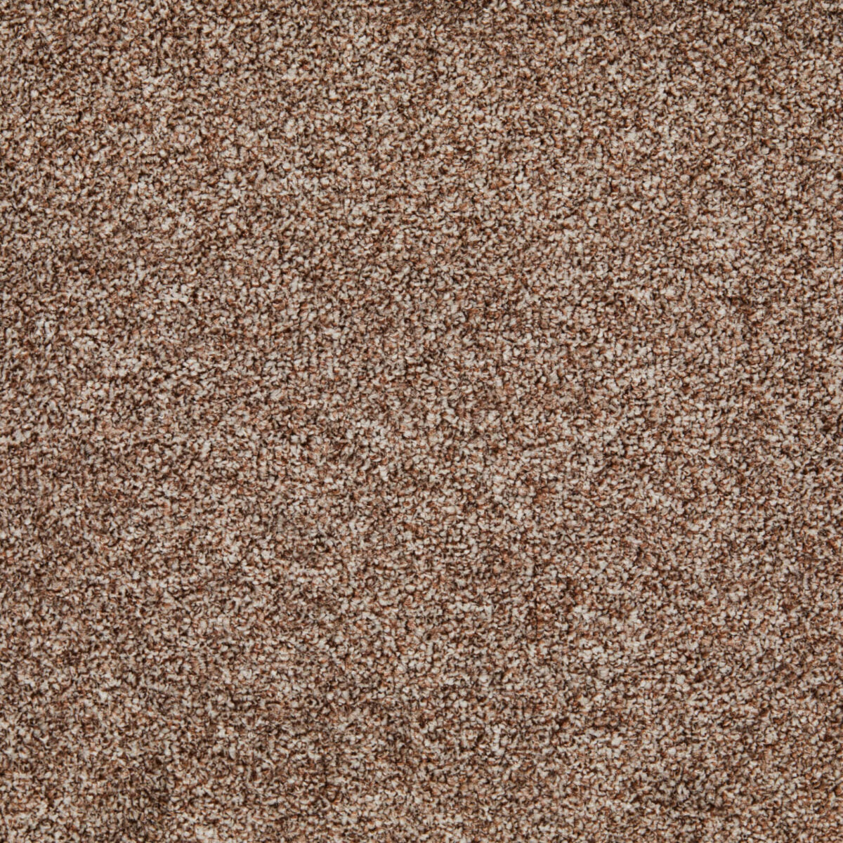Bellagio 70 (1.95m x 4.10m) M018993