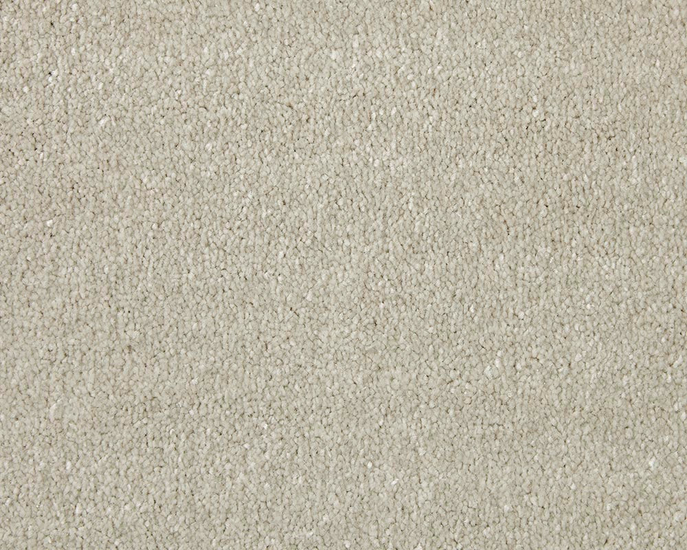 Apollo Elite Carpet