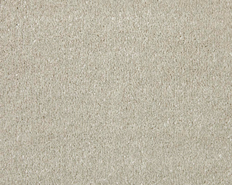 Apollo Elite Carpet