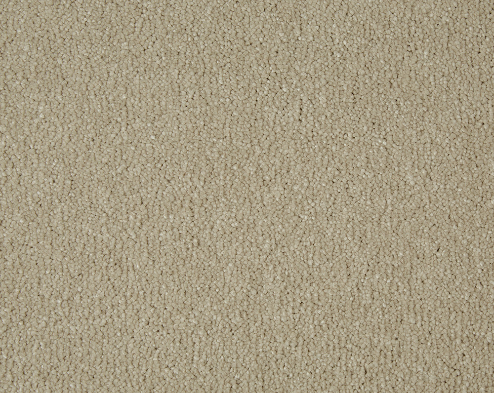 Sensation Carpet