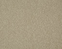 Sensation Carpet