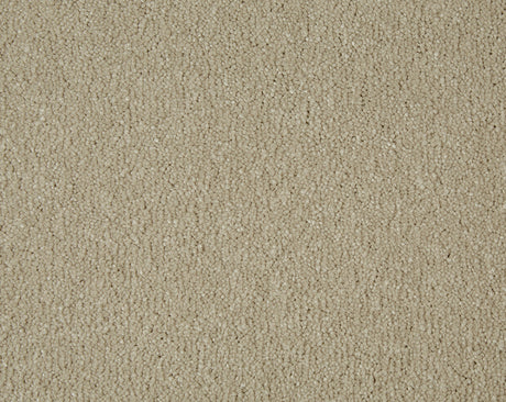Sensation Carpet